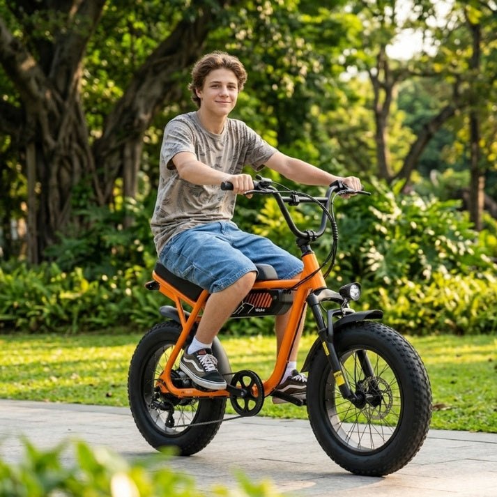 Vivitic V-101 Moped-Style Electric Bike – 1500W Fat Tire